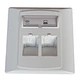 face plate 2 port